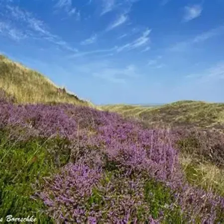 Apartment Post Hiddensee,