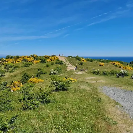 Post Hiddensee, Vitte