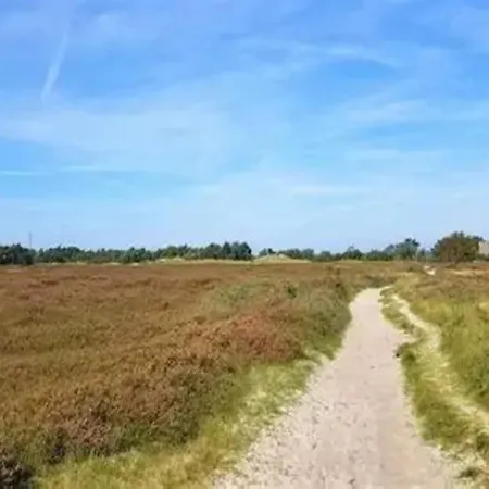Post Hiddensee, Apartamento Vitte