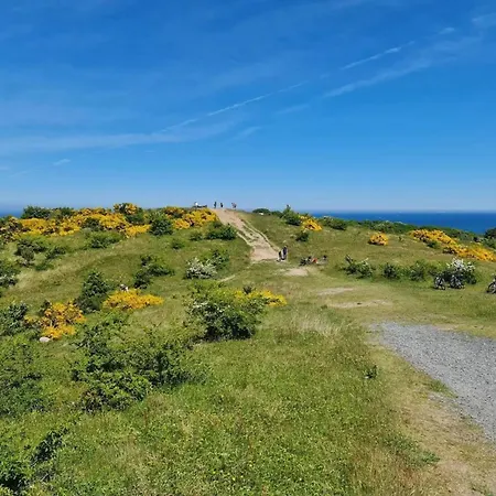 Post Hiddensee, Vitte