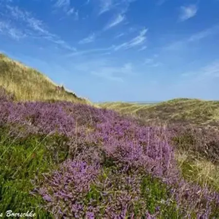 Post Hiddensee, Vitte