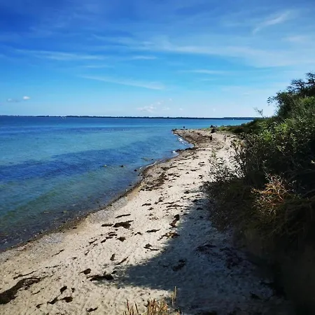 Post Hiddensee, * Vitte