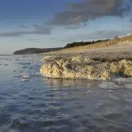 Post Hiddensee, Lägenhet