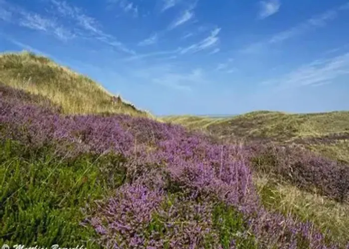 Post Hiddensee, Vitte